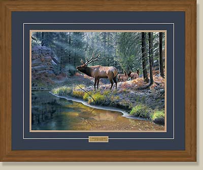 Crossing Bear Canyon-Elk by Jim Kasper